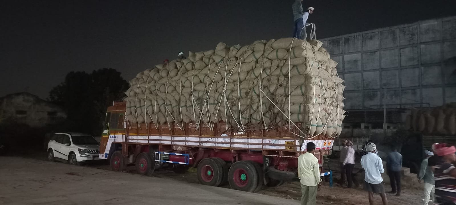 Thaja Chilli Image 3