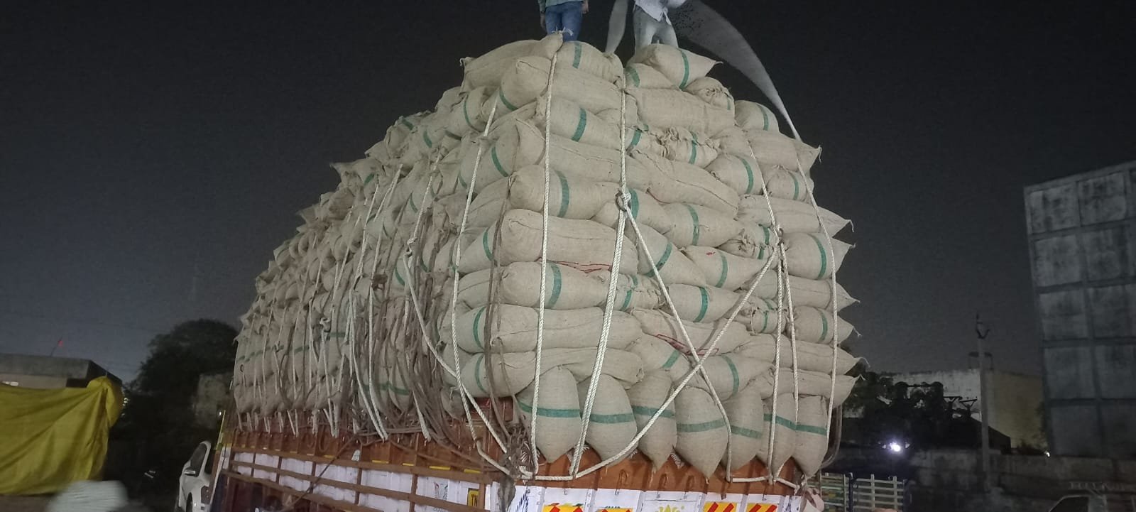 Thaja Chilli Image 4